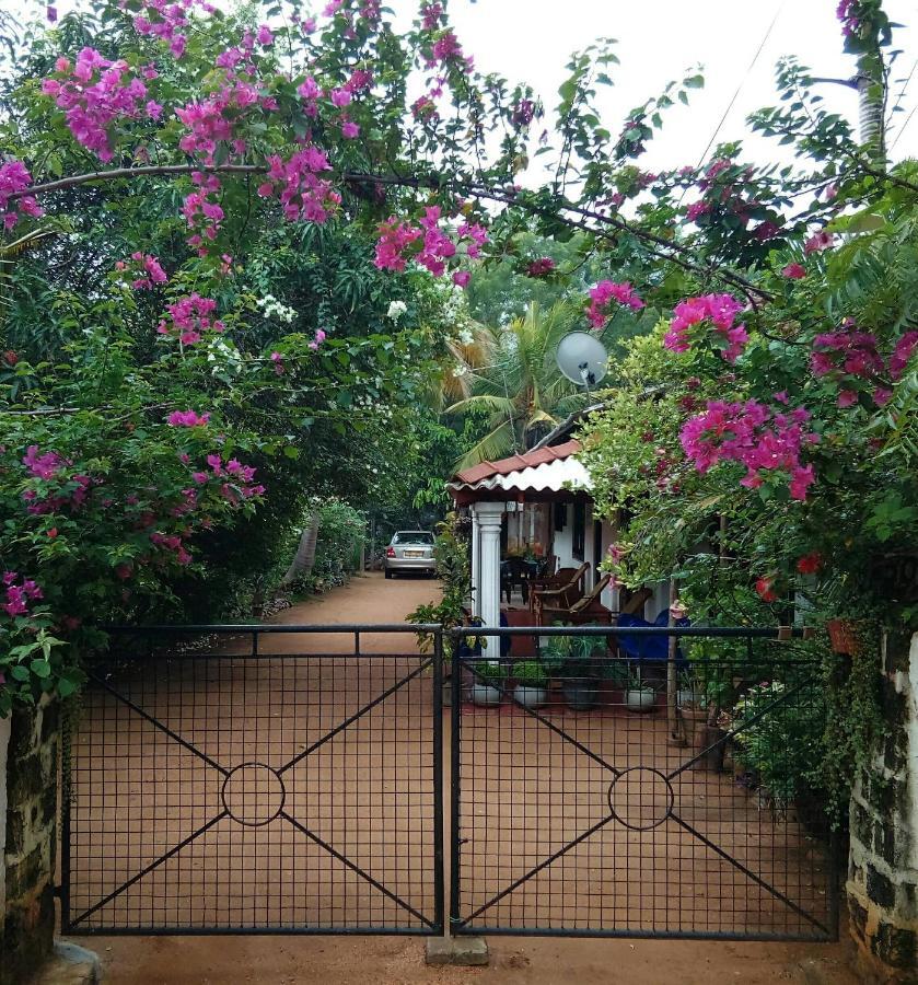 Lake House Homestay Anuradhapura Kültér fotó